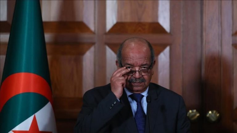 Une mission de la Ligue arabe en Algérie pour surveiller l’élection présidentielle