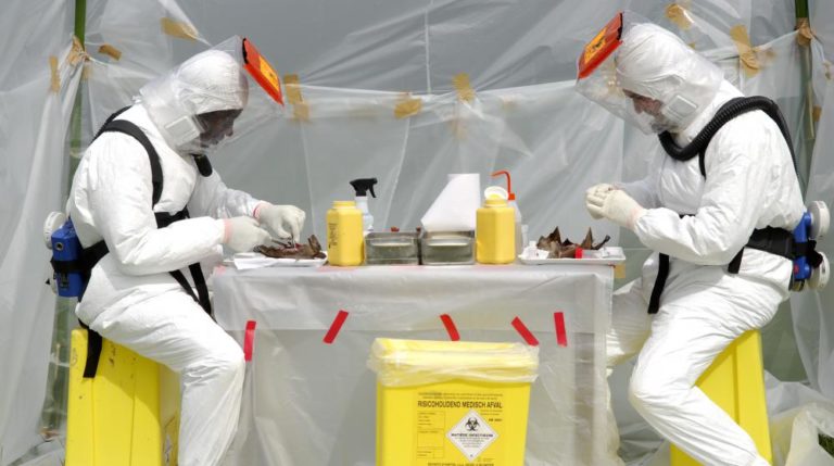 Ebola: deux traitements prometteurs font chuter le taux de mortalité