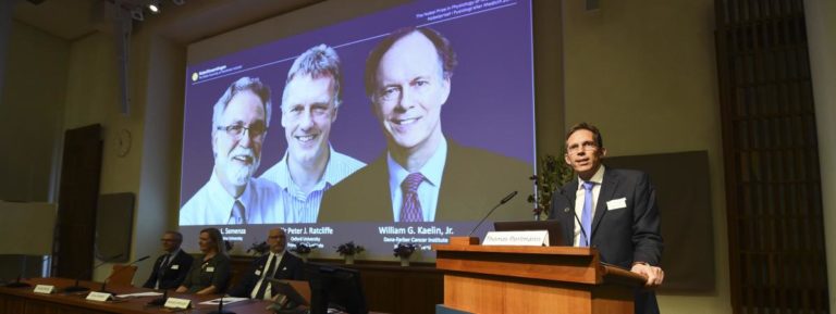 Le Prix Nobel de Médecine 2019 attribué à trois scientifiques