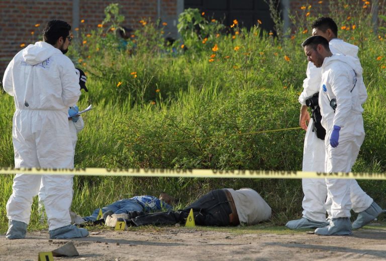 Mexique: 215 corps découverts dans neuf charniers à Jalisco