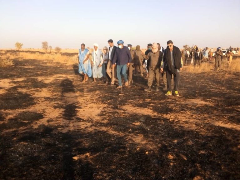 Mauritanie : En 4 jours, les incendies ont dévoré 2 mille km² de prairies et de forêts