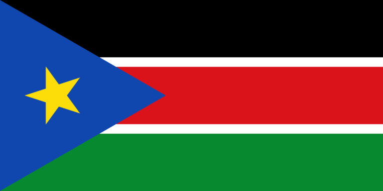 Soudan du Sud: l’Opposition armée rejette la signature d’Accord final de paix