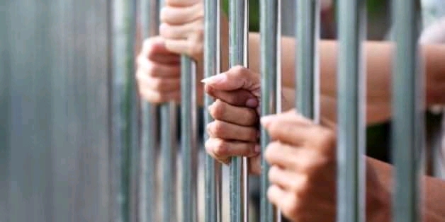 Égypte: Prisonniers en grève de la faim depuis la mort de Morsi