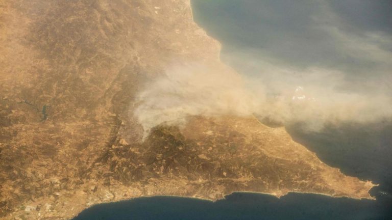 Portugal : 15 000 hectares brûlés, et plus de mille pompiers luttent contre un vaste incendie