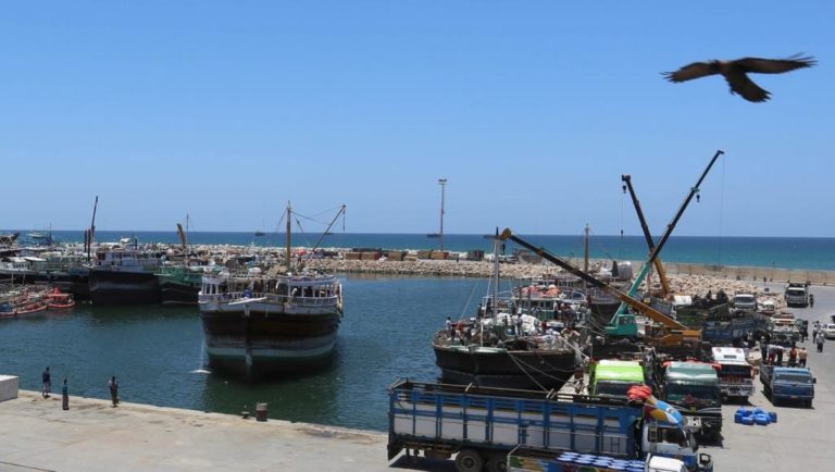 New York Times : Les côtes somaliennes font saliver Qatar et les Emirats arabes unis