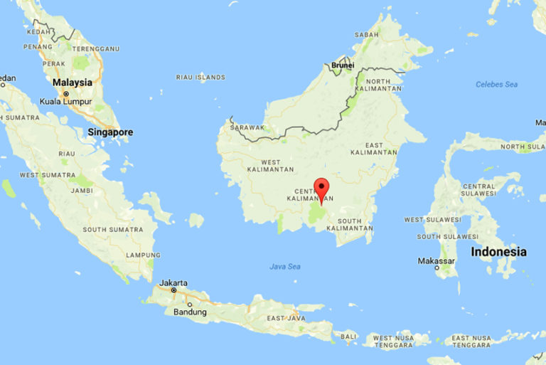 L’Indonésie va déménager sa capitale à l’île de Bornéo