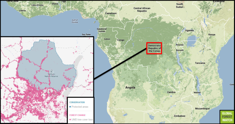 RD Congo: le « deuxième poumon vert de la planète » brûle aussi