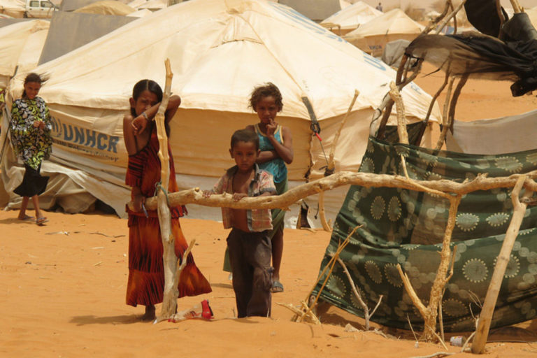 ONU : Près de 4 millions de déplacés et 270 mille réfugiés recensés au Sahel et dans le lac Tchad