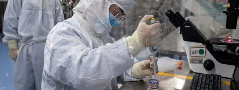 Covid-19: un vaccin prototype efficace testé chez les singes