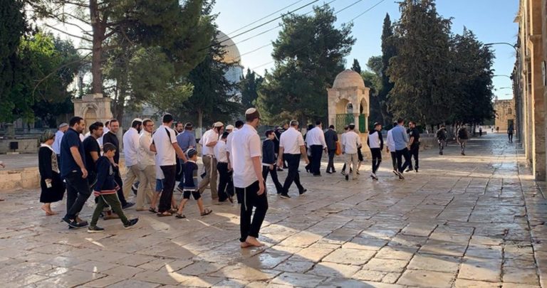 La Mosquée Al Aqsa envahie par des dizaines de colons israéliens