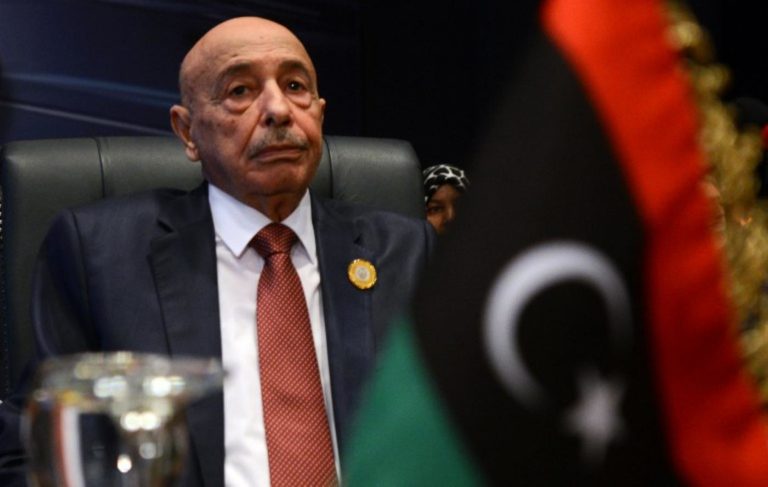 Le porte-parole du Haut Conseil d’État libyen: il n’y a pas de réunion entre Al-Mechri et Aguila Salah