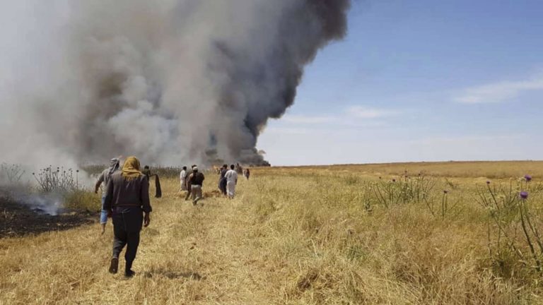Irak: « Daech » met le feu aux champs de blé de Diyala
