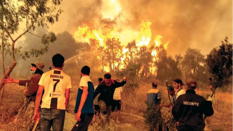 Incendies en Algérie : Les pays du Golfe expriment leur soutien