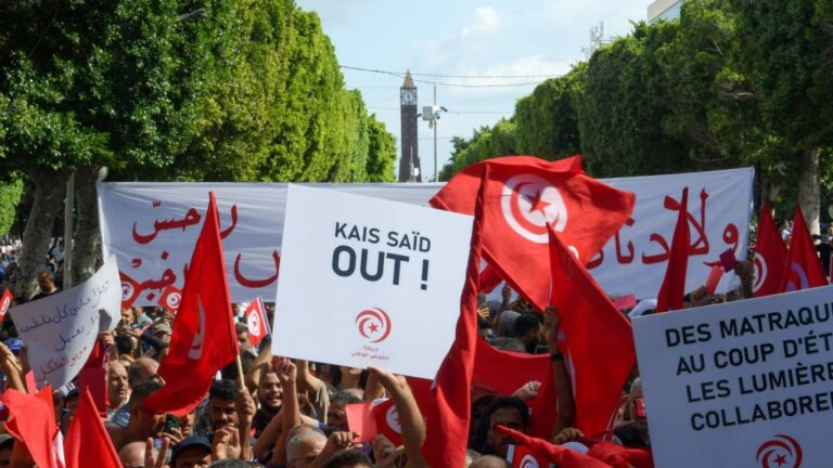 Tunisie : Plusieurs manifestants dénonçant « une ingérence française »